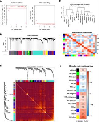 Clinical Significance and Immune Landscape of a Pyroptosis-Derived LncRNA Signature for Glioblastoma